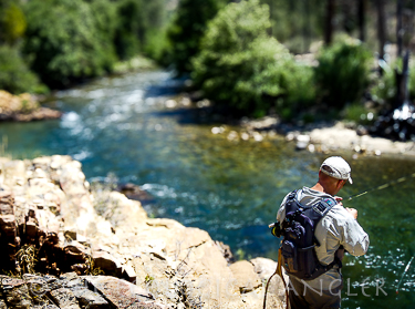 Fly Fishing the Forks of the Kern River California