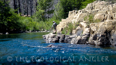 Fly Fishing the Forks of the Kern River in the Golden Trout Wilderness