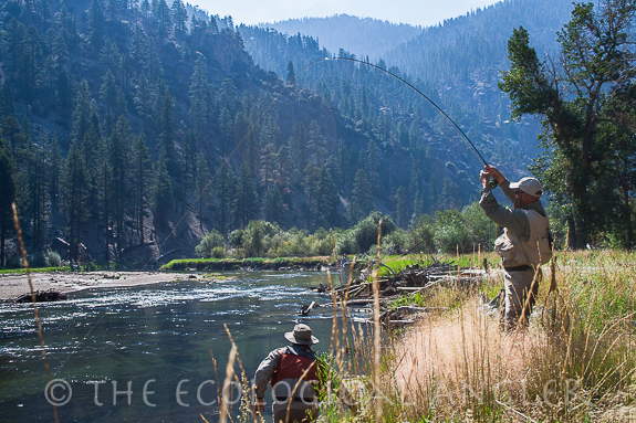 Fly fishing the upper Kern River in California provides scenic wonder and wild trout.
