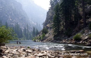 Fly fishing for Kern River Rainbow trout