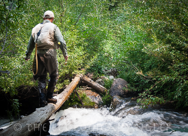Fishing on the Upper Kern River is remote and accessed only by hiking