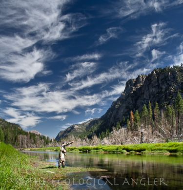 Fly Fishing the Kern River for wild rainbows