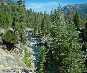 View of the North Fork of the Kern River from the border of Sequoia National Park looking north