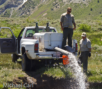 CDFW plants brook trout into Kirman Lake.