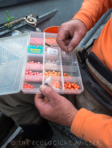 Fishing the Klamath River Below Iron Gate Dam in the fall requires selecting the right color of egg to peg.