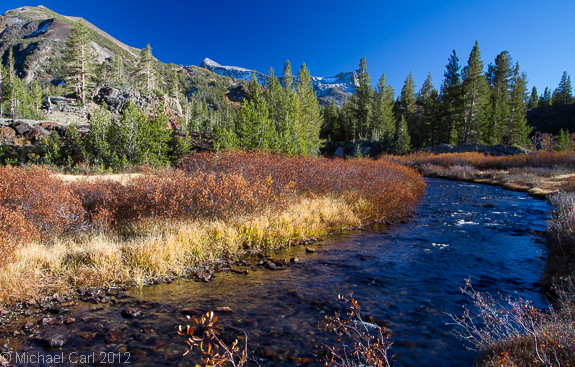 Headwaters of a creek that flows down into the Mono Lake Basin.