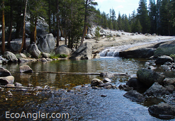 The Lyell Fork of the Tuolumne River flows over and around large rocks throughout it's course in Tuolumne Meadows