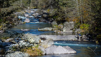 Fly fisherman works pool near Ash Camp on the McCloud River.