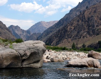 Upstream of the Lower Canyon in the Middle Fork Salmon River