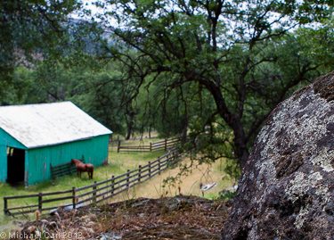 A horse outside a barn in the Ishi Wilderness California
