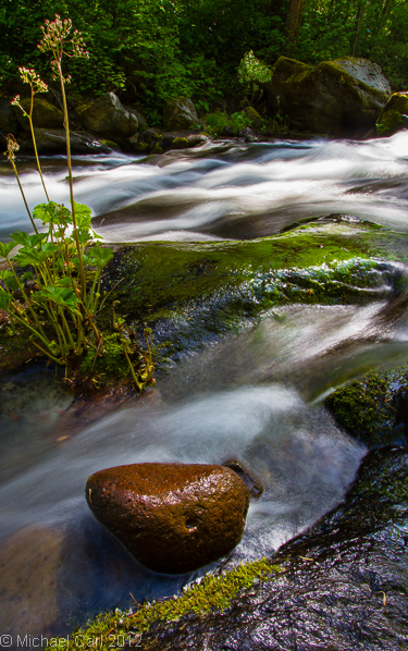 Antelope Creek flows in the Ishi Wilderness California