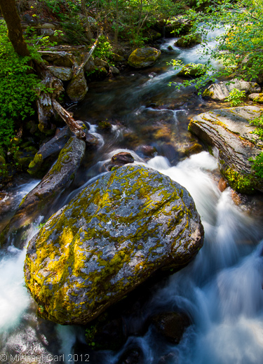 Antelope Creek provides critical habitat for Spring run Chinook Salmon in California