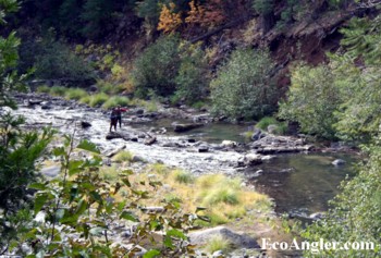 Anglers scout a section of Mill Creek in the fall.