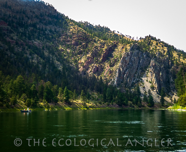 Fly Fishing Missouri River inside the Gates of the Mountains