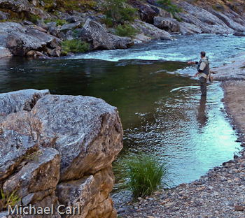 Fly fishing a tail out on the North Fork Stanislaus River