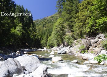 North Fork Yuba River