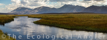 Upper Owens River in California for fly fishing