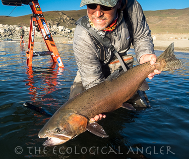 Fisherman with Giant Lahontan Cutthroat Trout at Pyramid Lake Nevada