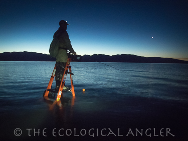 Fisherman on ladder along shore of Pyramid Lake Nevada at dawn's first light