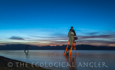 Fisherman on ladder along shore of Pyramid Lake Nevada at dawn's first light