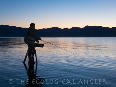 Fly fishing on ladders along Pyramid Lake Nevada at dawn's first light