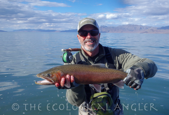Michael Carl caught a Pyramid Lake Lahontan Cutthroat Trout fly fishing off the South Nets.
