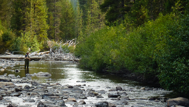 The Middle Fork of the San Joaquin flows through the Ansel Adams Wilderness