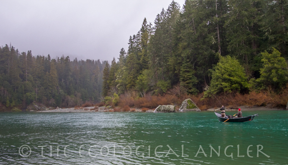 The Smith River supports a strong run of wild steelhead and king salmon.
