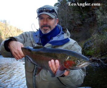 Beautiful colored steelhead from the Trinity River