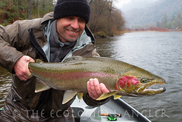 Fly Angler displaying a 32 inch wild steelhead along the Trinity River in California