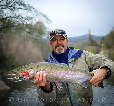 A 9 pound steelhead landed on the Trinity River