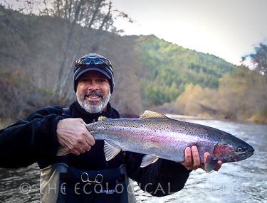 Trinity River steelhead fishing