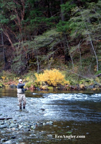 Angler hooked up along the Trinity River