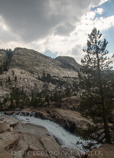 Beautiful waterfalls cascade down the Grand Canyon of the Tuolumne River in Yosemite California