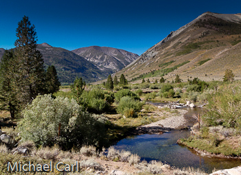 Little Walker River flowing down out of Burt Canyon