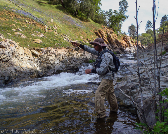 The Ecological Angler - Fly Fishing Western Sierra Nevada Small Stream