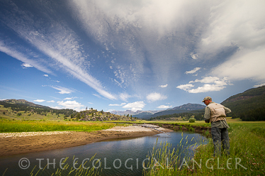 Fly Fishing Slough Creek upstream from First Meadow in Yellowstone National Park.