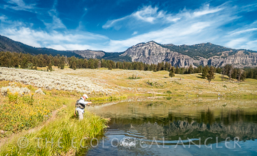 Fly fishing Trout Lake for native Yellowstone cutthroat trout surrounded by an alpine meadow and towering mountains.