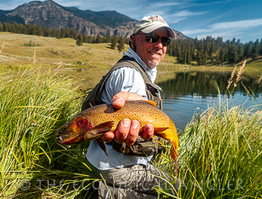 Yellowstone Cutthroat caught fly fishing Trout Lake in Yellowstone National Park.