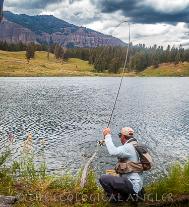 Fly fishing Trout Lake for native Yellowstone Cutthroat trout.
