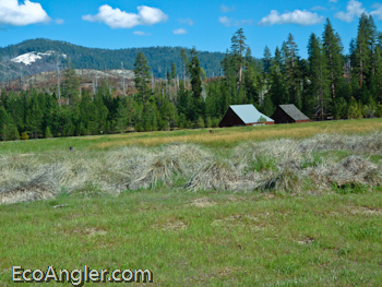 A couple of barns dot the landscape in West Yosemite Meadow