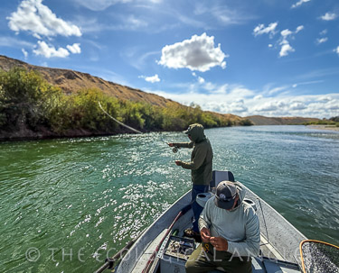 Fly fishing Lower Yuba River below Highway 20 Bridge