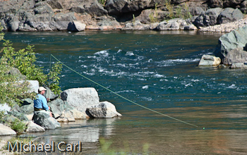 Fly Angler fishing water just upstream of Highway 20 Bridge Crossing the Yuba River