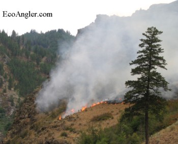 Lightening ignites fire above the Middle Fork of the Salmon River