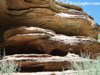 A cool looking rock formation along Jones Hole Creek.