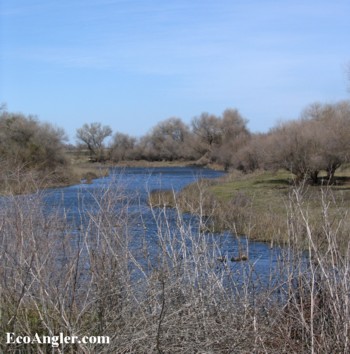 Winter flows in the Lower San Joaquin River