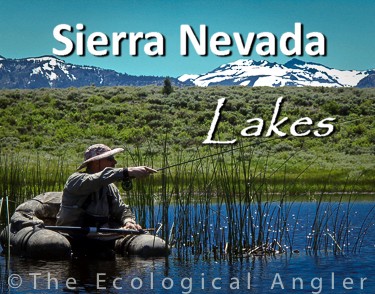 Fly Fishing High Sierra Lakes