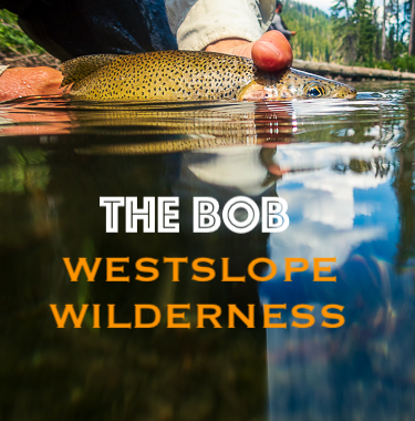 Fly Fishing for Westslope Cutthroat Trout in the Bob Marshall Wilderness