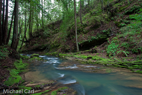 Waddell Creek flows aqua blue green