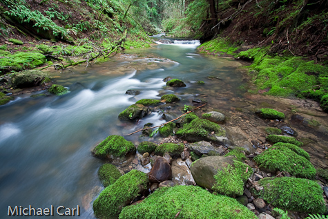 Waddell Creek flows aqua blue green along moss covered rocks